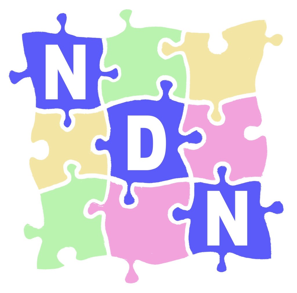 NDN Logo
